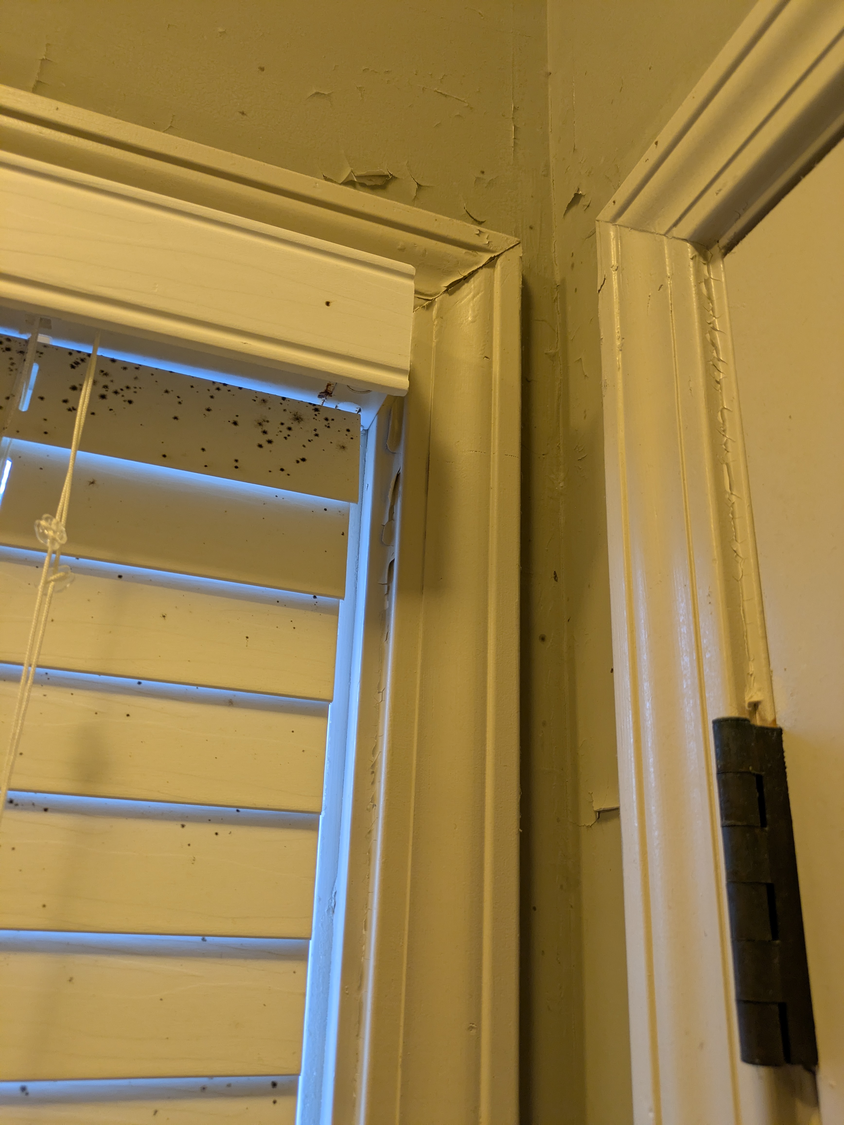 Exterior siding replacement on a historic Athens GA cottage